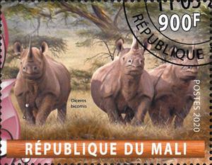 Stamp, Diceros bicornis, Cinderellas,  , Animals (Fauna), Mammals