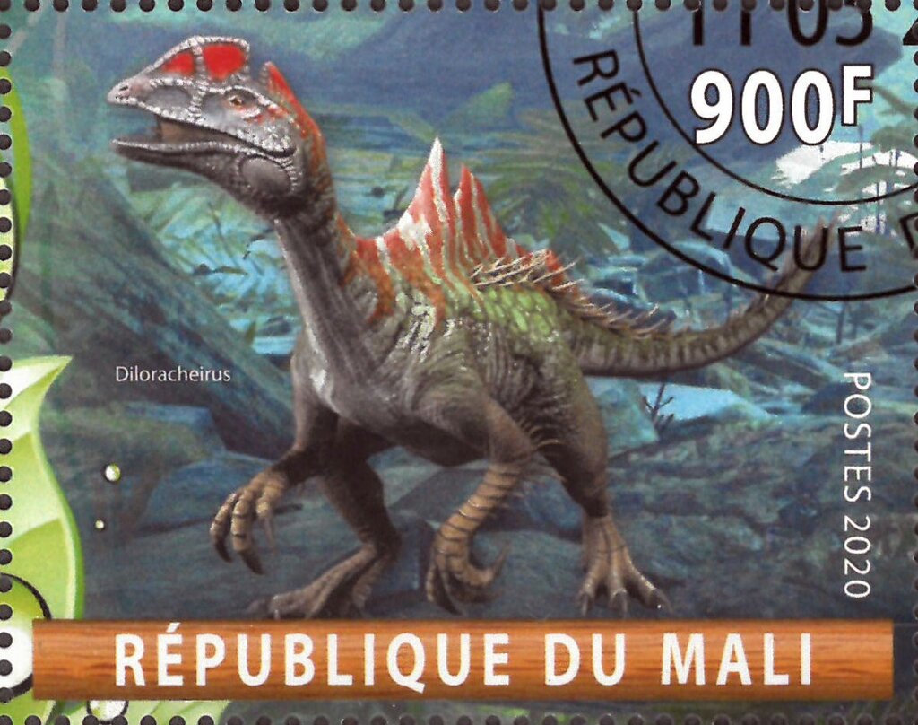 Diloracheirus