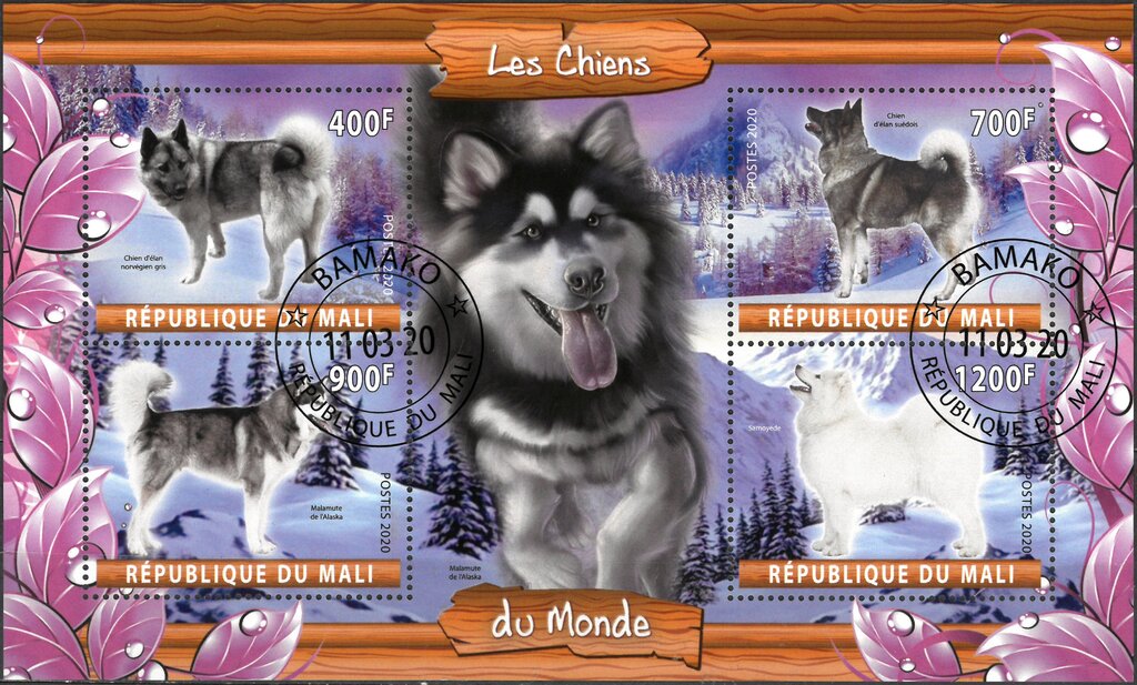 Dogs