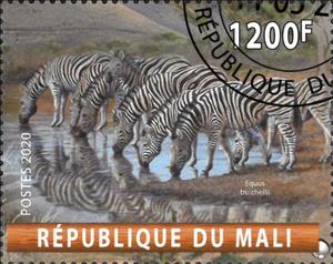 Stamp, Equus burchelli, Cinderellas,  , Animals (Fauna), Mammals, Zebras