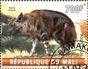 Stamp, Hyaena brunnea, Cinderellas,  , Animals (Fauna), Hyenas, Mammals