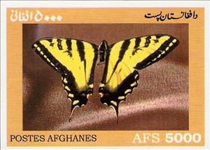 Stamp, Iphiclides sp., Cinderellas,  , Animals (Fauna), Butterflies, Insects