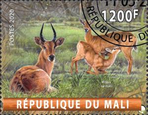 Stamp, Kobus vardonii, Cinderellas,  , Animals (Fauna), Antelopes, Mammals