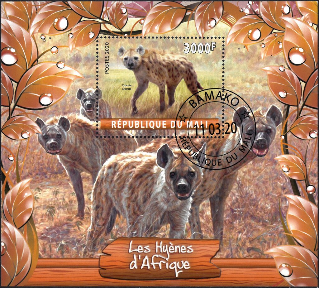 Les Hyenes d'Afrique