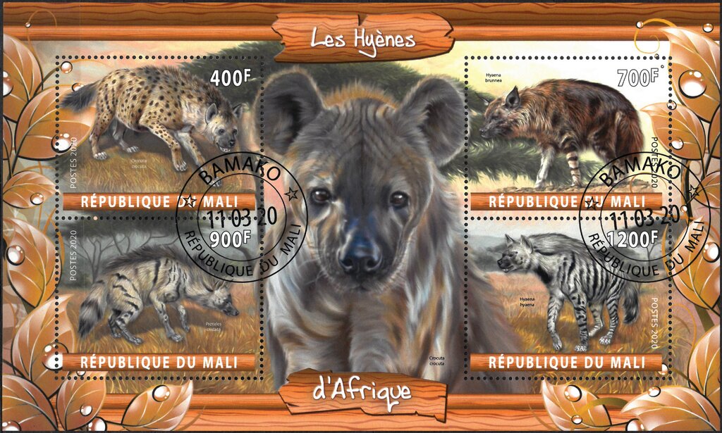 Les Hyenes d'Afrique