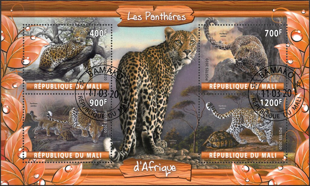 Les Pantheres d'Afrique