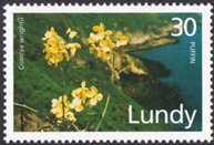 Stamp, Lundy Cabbage. Coincya Wrightii, Cinderellas,  , Flowers