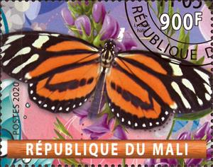 Stamp, Lycorea halia, Cinderellas,  , Animals (Fauna), Butterflies, Insects