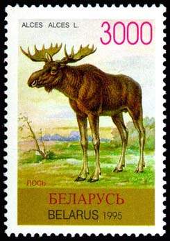 Stamp Elk
