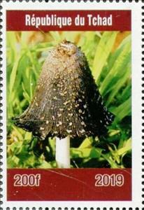 Stamp, Mushrooms, Cinderellas,  , Mushrooms