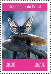 Stamp, Mushrooms and Butterflies, Cinderellas,  , Animals (Fauna), Butterflies, Insects, Mushrooms
