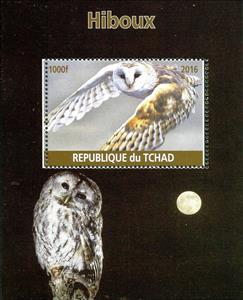Souvenir Sheet, Owl, Cinderellas,  , Animals (Fauna), Birds, Birds of Prey, Owls