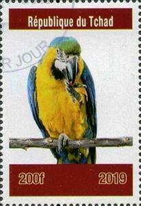 Stamp, Parrot, Cinderellas,  , Animals (Fauna), Birds, Parrots