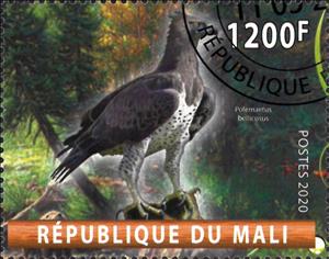 Stamp, Polemaetus bellicosus, Cinderellas,  , Animals (Fauna), Birds