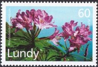 Rhododenron