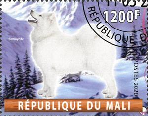 Stamp, Samoyede, Cinderellas,  , Animals (Fauna), Dogs, Mammals