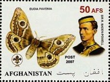 Stamp, Saturnia pavonia, Cinderellas,  , Animals (Fauna), Butterflies, Insects