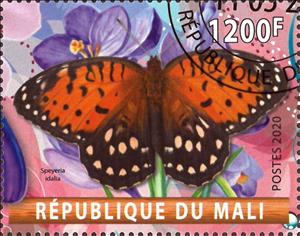 Stamp, Speyeria idalia, Cinderellas,  , Animals (Fauna), Butterflies, Insects