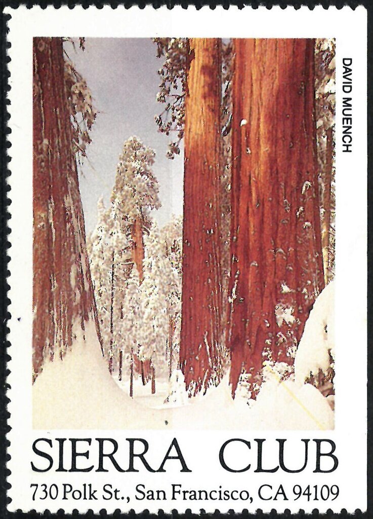 View of trees in winter