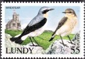 Wheatear