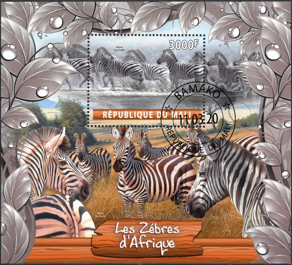 Zebras