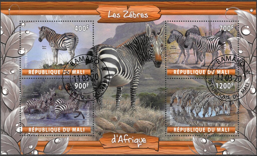 Zebras