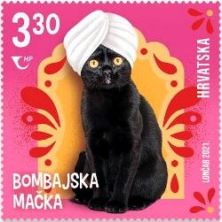 Bombay Cat