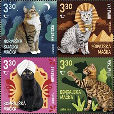 Cats