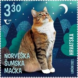 Norwegian Forest Cat