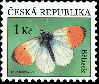 Stamp, Orange Tip (Anthocharis cardamines), Czech Republic,  , Animals (Fauna), Butterflies, Insects