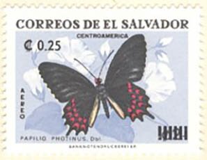 Pink-spotted Cattleheart (Papilio photinus), Surcharged