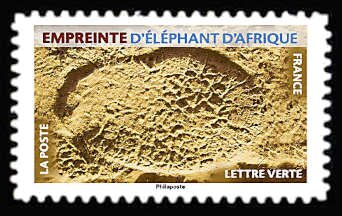 Footprint of African Elephant