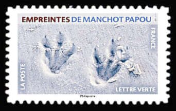 Footprint of Gentoo Penguin