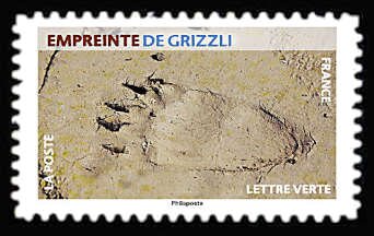 Footprint of Grizzly Bear