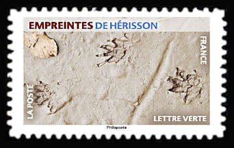 Footprint of Hedgehog
