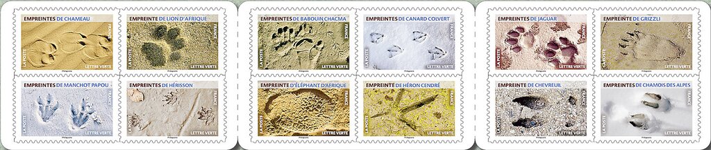 Footprints of Animals