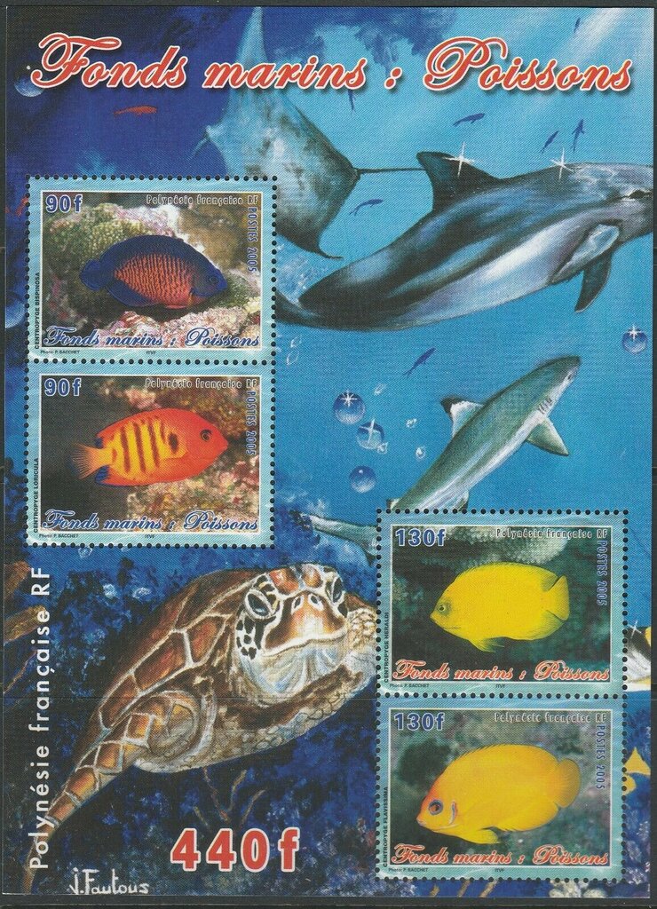 Angelfish