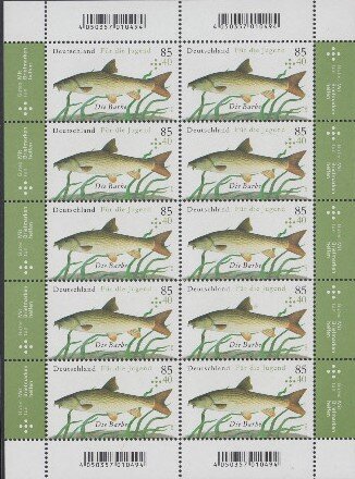 Barbel (Barbus barbus)