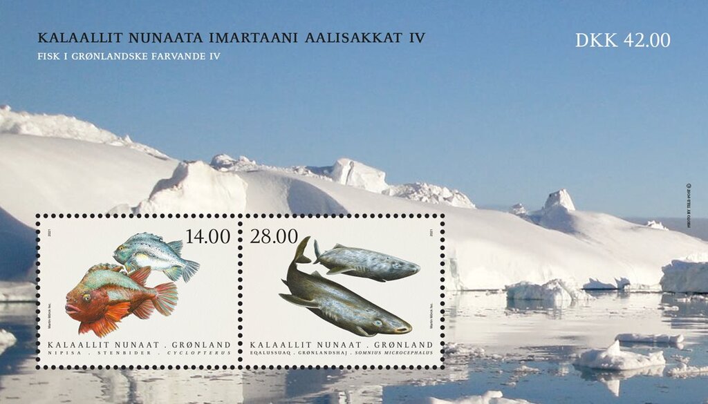 Fish In Nordic Waters 2021