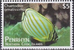 Ornate Butterflyfish (Chaetodon ornatissimus)