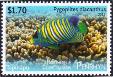 Stamp, Pygoplites diacanthus, Penrhyn,  , Animals (Fauna), Fishes, Sea Life