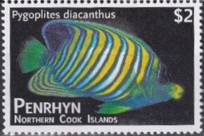Regal Angelfish (Pygoplites diacanthus)