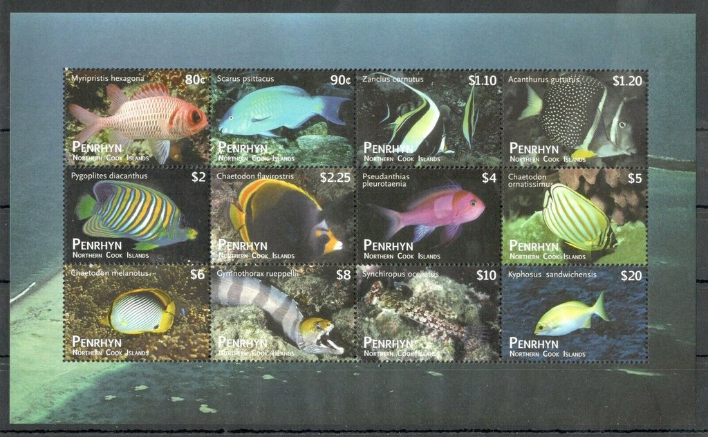 Various Fishes