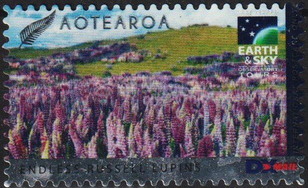 Aotearoa Endless Russel Lupins Earth Sky Observatory