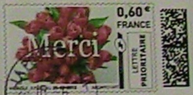 Thanks. Red Roses. Merci