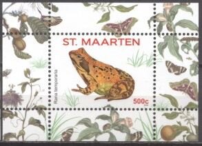 Common Frog (Rana temporaria)