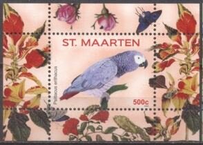 Grey Parrot (Psittacus erthacus)