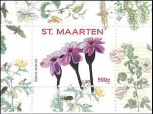 Souvenir Sheet, Moss Campion (Silene acaulis), Sint Maarten,  , Flowers, Plants (Flora)