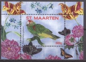 Red-fronted Parrot (Poicephalus gulielmi)