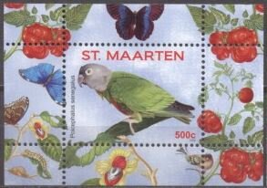 Senegal Parrot (Poicephalus senegalus)